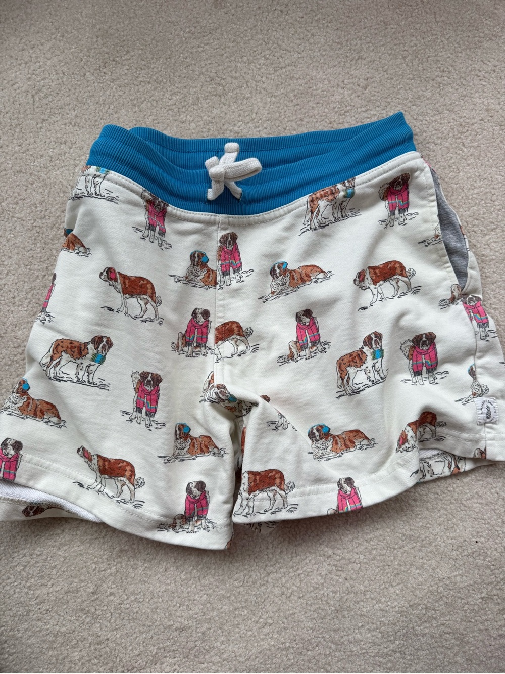 Chubbies 5.5” Shorts